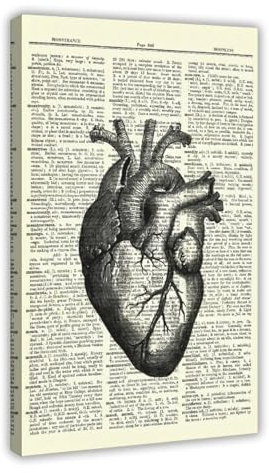 NWGACS Menschliche Anatomie-Set, Wörterbuch, Vintage-Kunst, Leinwand-Poster, Schlafzimmer-Dekor, Sportlandschaft, Büro, Raumdekoration, Geschenk, Rahmen-Stil, 50 x 75 cm