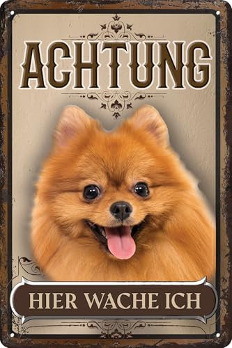 30 x 20 cm wetterfestes Blechschild, Warnhinweis, Torschild, Achtung, hier Wache ich! Warnung vor dem Hund (Pomeranian)
