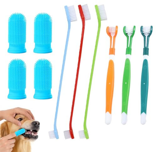 10er Set Hundezahnbürste, Zahnbürste Hund Mit 3 Dreikopf- und 3 Doppelkopf-Bürsten, Mit 4 Fingerbürsten Hunde Zahnbürste Für Kleine und Große Hunde，dog toothbrush