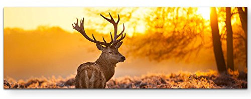 Eau Zone Wandbild auf Leinwand 120x40cm Hirsch im Morgenlicht