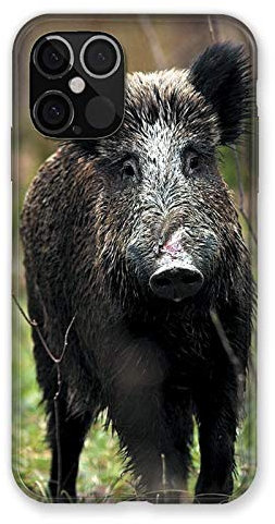 Cokitec Coque pour Iphone 12/12 Pro Chasse Sanglier Bois