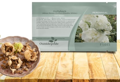 Outsidepride Double Hollyhock Seeds - 100 Pcs Perennnial White Heirloom, Long-Blooming Drought Tolerant Flower Seeds with Semi-Double Blooms for Cottage Gardens & Cut Flowers