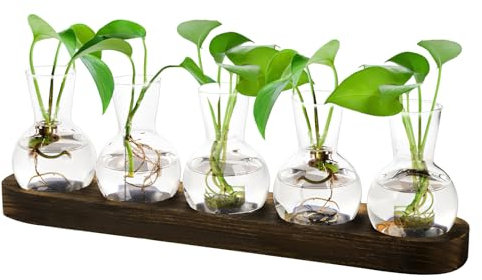 5 Pezzi Vaso In Tubo di Prova In Vetro, da Fiori da Tavolo per Piante Idroponiche, Terrario Con Supporto In Legno per Casa Caffetteria Scrivania