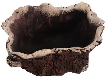 IMIKEYA Blumentopf Aus Zement Für Sukkulenten Flache Pflanzschale Als Bonsai-pflanzgefäß Kleiner Sukkulententopf Für Innenbereich