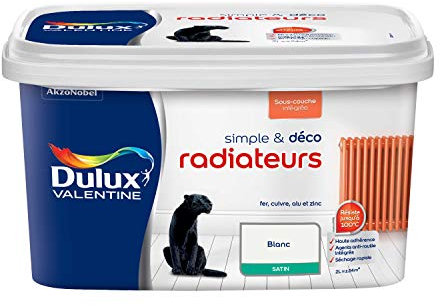 Peinture Radiateurs Blanc