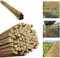 Gardens 2Ft,3Ft,4Ft,5Ft,6Ft,7Ft,8FT,10Ft Strong Heavy Duty Professional Bamboo Plant Support Garden Canes (10, 2ft, 12-14 mm)