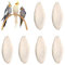 Sepiaschalen,Sepia Schale,Sepia Schalen,Sepia Knochen Sepiaschalen,sepiaschalen für schildkröten,Tintenfische Sepia Knochen,vogelstein,Vogel kauspielzeug,Miniatursepiaschalen handelt,6 Stück