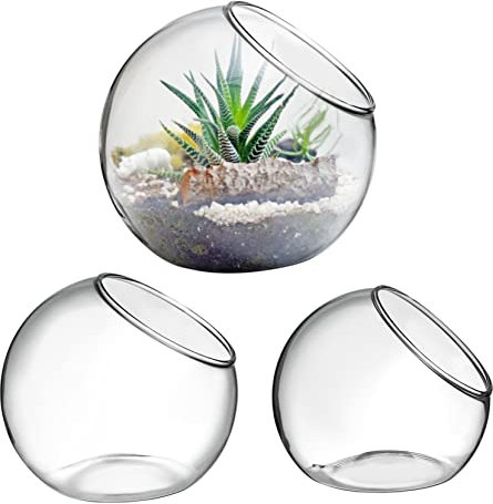 3 Stück Glas-terrarienbehälter Schalenvasen Für Sukkulenten Durchsichtige Pflanzgefäße Aus Glas Für Schreibtisch Dekorationen
