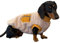 D Doggy Star Dackelpullover für Hunde, warme Fleece-Kleidung, Wintermantel (XL, Senffarben)