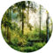 wandmotiv24 Runde Fototapete Wald Wiese Bäume, selbstklebende Strukturtapete 260g - Groß - (150x150cm) M0060