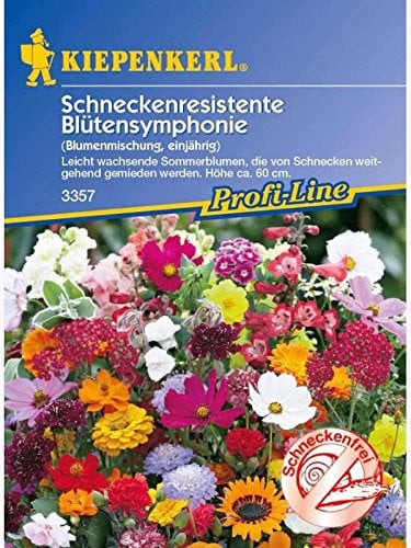 Blumenmischung Schneckenresistente Blütensymphonie