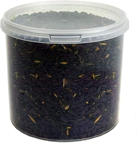 Graines de Tournesol Noir GardenersDream - Nourriture Riche en Huile pour Les Oiseaux Sauvages du Jardin (5L)