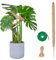 SGERUFZ 1 Pcs Tuteur de Plante Grimpante en Coco sur Piquet 70cm Support de 7mm de Largeur Pliable Idéal pour Jardin Domestique