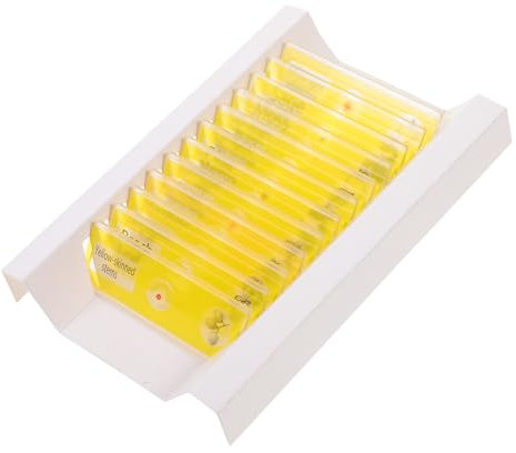 DECOMELODY 12stücke Teilige Sammlung Vorbereiteter Mikroskopobjektträger Kunststoff Mit Pflanzenproben Für Kinderbiologie-grundunterricht