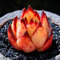 Portal Cool Pianta grassa Live - Echeveria giallo 'Ebony' 3cm - Graden bella pianta rara