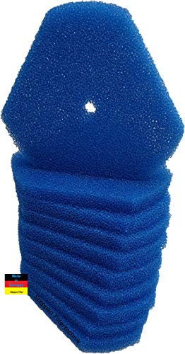 Steppan 10 Stück Ersatzschwämme für Oase SwimSkim CWS Skimmer Oberflächenabsauger.