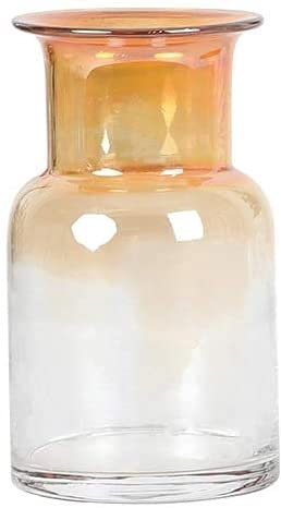 CWCQGH Vase Vase Vase en Verre dégradé Bol Transparent Mobilier de Maison Nordique Plantes hydroponiques Bureau Pot de Fleur en Verre Salon Grand Vase sur Pied