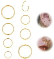 Habselikob Nasenpiercing Ring 16G/18G Knorpelohrring Septum Clicker Ring Nasenring Gold Sliber Roségold Helix Conch Tragus Daith Lip Piercing Ohr 6mm/8mm/10mm/12mm