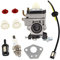 HURI Vergaser Dichtung Zündkerze Benzinschlauch mit Benzinfilter für Florabest FBS 43 A1, FBK 4 B2 4in1, Parkside PBK 4 A1, PBS 2 A1 Motorsense