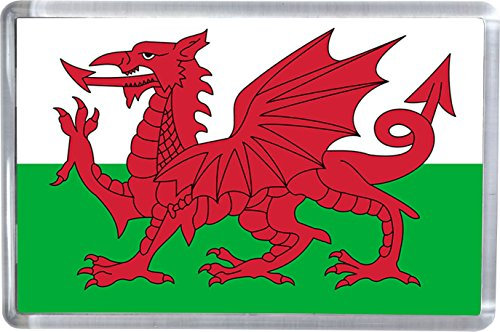 The Welsh Red Dragon Flag Magnet 5 X 7.5 CM