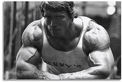 SHUPSY Arnold Schwarzenegger Poster Dekorative Malerei Leinwand Wandkunst Wohnzimmer Poster Schlafzimmer Malerei 12x18inch(30x45cm)