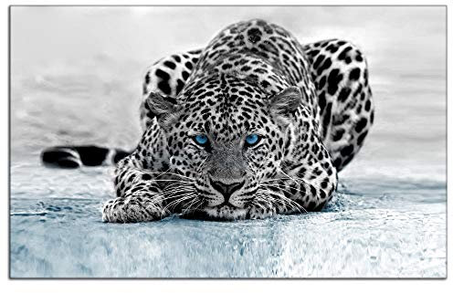 DECLINA, Modernes Dibond Bild, Wandbild, Druck auf Aluminium, Alurahmen, Leopard, 120 x 80 cm