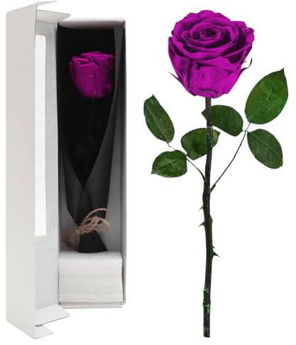 YNNHUDEEP Ewige Rose Rot mit Stiel - Echte konservierte Rose in Premium Geschenkbox, 3-5 Jahre haltbar,für Frau,Freundin,Oma,Valentinstag,Weihnachten,Muttertag,Geburtstag,Hochzeitstag,Jahrestag-Lila
