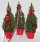 Picea glauca Conica - Zuckerhutfichte in weihnachtlicher Dekoration 60-70 cm Stückzahl Rabatt Einzelpreis