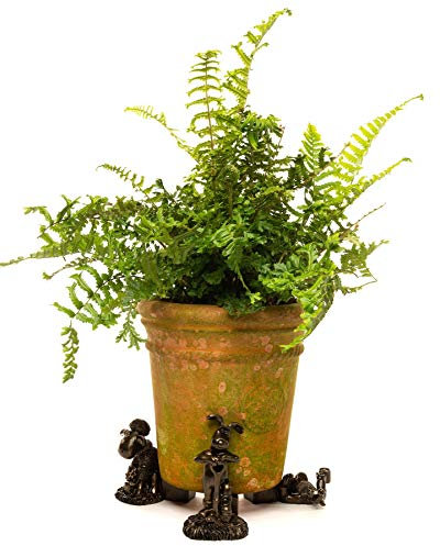 Potty Feet Wallace and Gromit Figures Plant Pot Feet - Planter Support - Handmade Decorative Ornaments - 3pcs