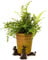 Potty Feet Wallace and Gromit Figures Plant Pot Feet - Planter Support - Handmade Decorative Ornaments - 3pcs