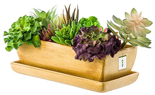 Pot de fleurs en céramique - Bol de cactus - Dessous de verre - Trou d'eau - Cactus - Bonsaï - Plantes succulentes (rectangulaire, marron clair)