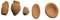 BLUSUPERSHOP 5 anfore PIATTI VASO alte 3-4 - 5 cm circa terracotta PER PASTORI 7 10 CM PRESEPE SAN GREGORIO ARMENO MARC