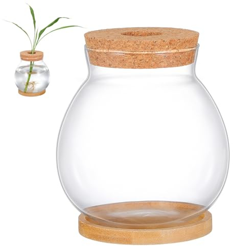 VERDANVERSE Aquarium en Verre Transparent avec Terrarium pour Plantes Hydroponiques et Support en Bambou, Décoration Unique pour Table à Manger ou Fête