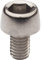 Campagnolo Rear Derailleur Cable Clamping Bolt, Silver, Single Bolt, RD-RE112