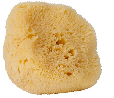 Croll & Denecke Naturschwamm, Meeresschwamm, Natur, ca. 10 cm