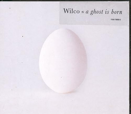 A Ghost is born  WILCO 