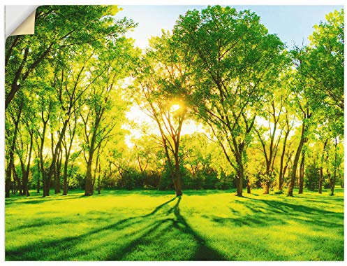 ARTland Wanddeko Wandtattoo selbstklebende Vinylfolie 80x60 cm Natur Wald Sonne Landschaft Frühling Wiese Bäume Grün T2OP