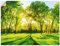 ARTland Wanddeko Wandtattoo selbstklebende Vinylfolie 80x60 cm Natur Wald Sonne Landschaft Frühling Wiese Bäume Grün T2OP