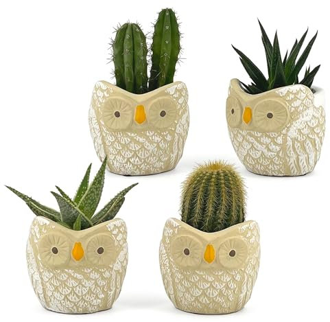Set 4 Vasetti Gufo Decorati a Mano | Vasi per Piante Grasse e Fiori | Coprivaso Decorativo | Interni ed Esterni | Diametro 8cm