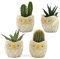 Lot de 4 pots de chouette décorés à la main | pots pour plantes succulentes et fleurs | cache-pot décoratif | intérieur et extérieur | diamètre 8 cm