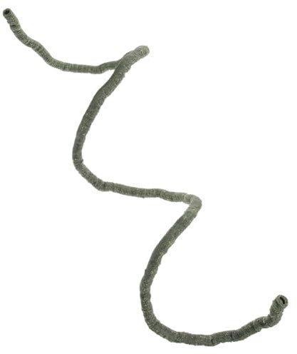 BUGUUYO Reptilien Terrarium Kletterrebe Deko Flexibles Lebensnahes Rattan Kunstpflanze Für Eidechsen Haustiere Robust Schuppenfrei Als Terrarien Landschaftsdeko Und Kletterspielzeug