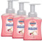 Sagrotan terciopelo Espuma Flores de cerezo & Rose, 3 Pack (3 x 250 ml)