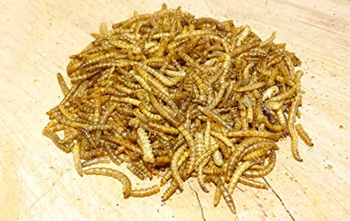 5 kg Getrocknete Mehlwürmer Futterbauer– 100% Naturfutter für Wildvögel, Fische & Igel | Proteinreiches Premiumfutter ohne Zusätze | Ideal als Vogelfutter, Fischfutter & Igelfutter