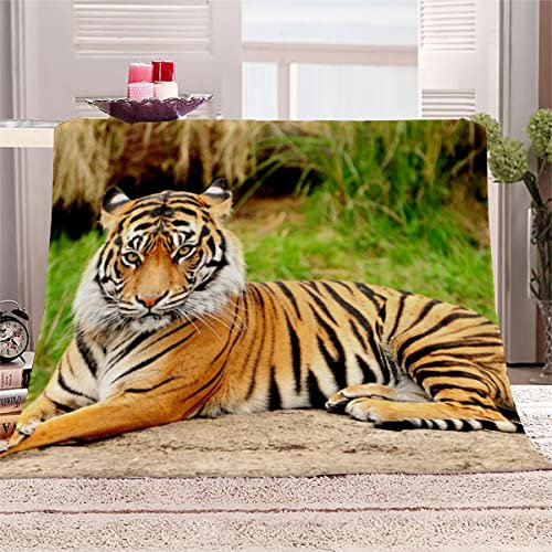 Aolity Kuscheldecke 150x200 cm Königstiger Wild Lebende Tiere Decke Camping Kuscheldecke Flanelldecke Weich Wohndecke Sofadecke Decke für Kinder Erwachsene Kuscheldecke Draußen