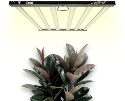 Lucius - LED 720W BLACK LABEL con Driver Integrado - 2.6 µmol para Cultivo Interior - Espectro Completo para Crecimiento y Floración - Máxima Producción, Resina y Calidad en Flores y Frutas
