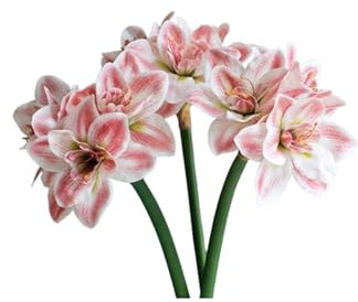 RGZFYH Blumen 24,4 Zoll echter Touch künstlicher Amaryllis-Blumenstiel, 3 Stück, künstlicher Lilienstrauß, große Tropische Blumen, Kunstpflanze für Zuhause, Büro, Vasen-Arrangements Flowers