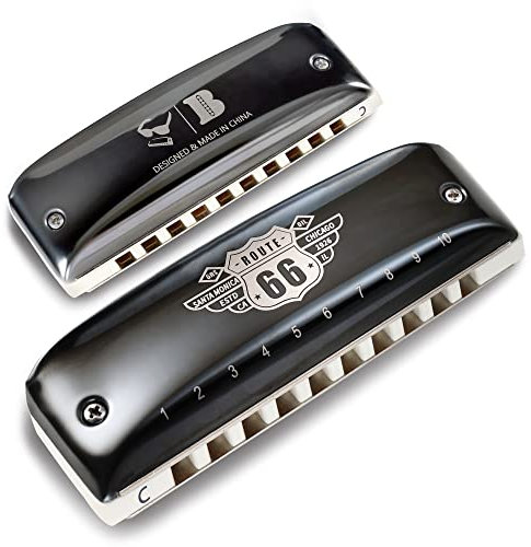 KONGSHENG Jazz Mundharmonika, 10 Loch Blues Harp Diatonische Mundharmonika Tonart C mit gelbem Etui für Anfänger, Amateure und Profis als Geschenk