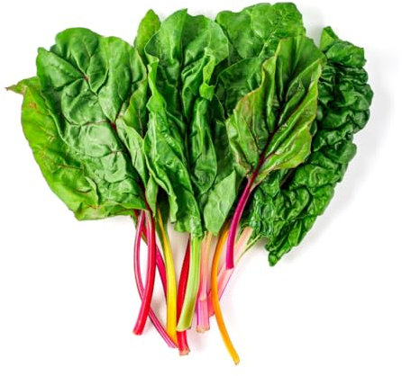 Rainbow Chard Plants, 'Bright Lights', 6 x Plug Plant Pack, Swiss Chard, Garden Ready and Ready to Plant, Premium Quality Vegetable Plants