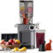 Anybear Cold Press Juicer, 200W Masticating Slow Juicer 4.3 Large Feed Chute Fit Whole Fruits Vegetables | Upgraded Auger | Tritan Materials | BPA Free | Easy to Clean (Silver)
