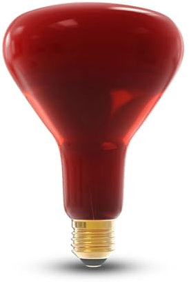LIGHT HERO 1 Stück Infrarot R125 250 Watt rot E27 220-240V – E27 Leuchtmittel – Infrarot – Infrarot Lampe
